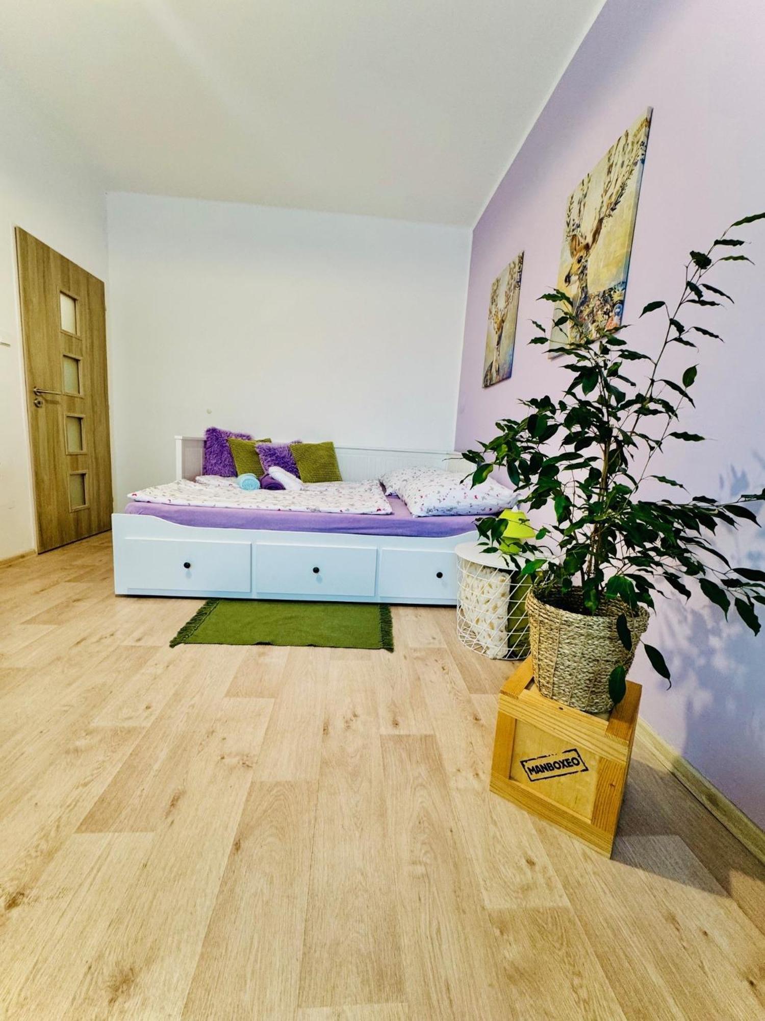 Garsonka Ve Dvore Dvůr Králové nad Labem エクステリア 写真